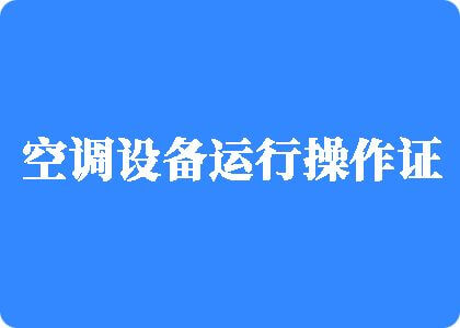 丰满人妻中文字幕乱码网站制冷工证