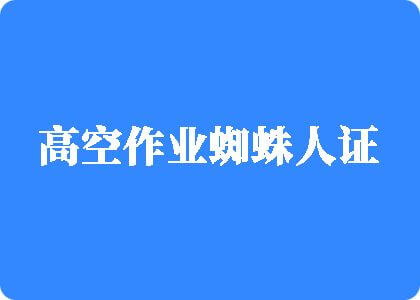 艹骚逼免费看高空作业蜘蛛人证